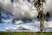 米兰羽毛球公开赛男子双打再掀热闹高潮