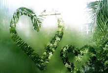 蓝月亮还是蓝军？温布利圣殿，一场不容错过的英伦巅峰对决！