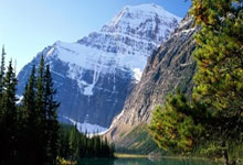 猛龙全阵容倾力，打出近期最佳表现