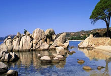 猛龙全阵容倾力，打出近期最佳表现