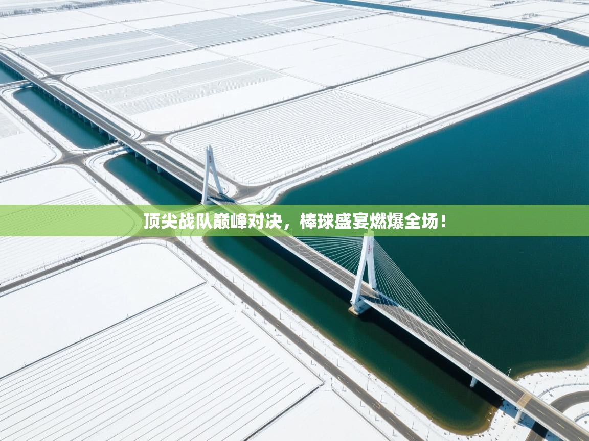 顶尖战队巅峰对决，棒球盛宴燃爆全场！  第2张