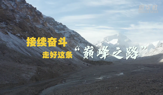 队员依靠实力，成功站在巅峰