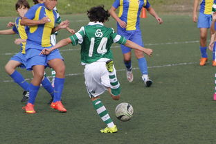 爱游戏登录入口-利物浦主场优势明显，球迷期待逆转奇迹